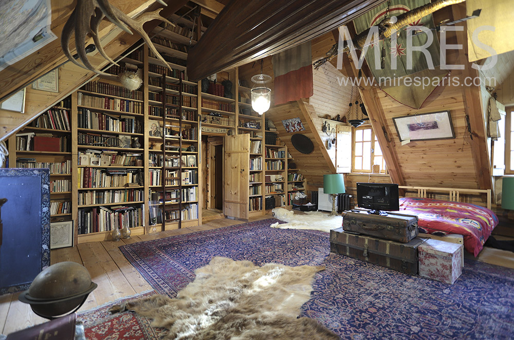 Large attic with library. c0224