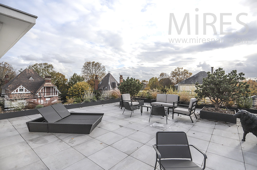 C1775 – Rooftop with shrubs