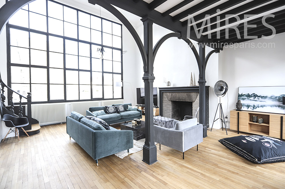 Grand duplex avec rooftop. C1795