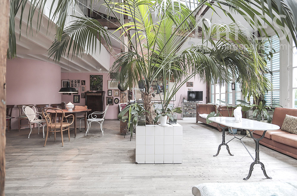 Loft et palmiers. C1809