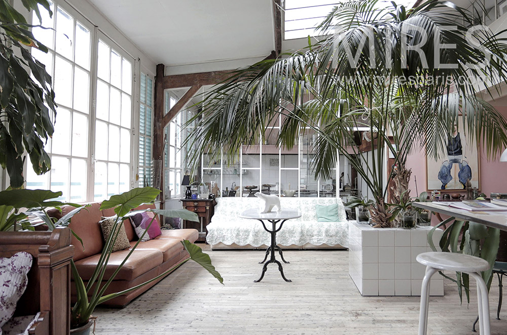 Living room and palm tree. C1809