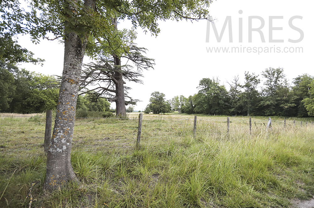 C0053 – Paysage champêtre