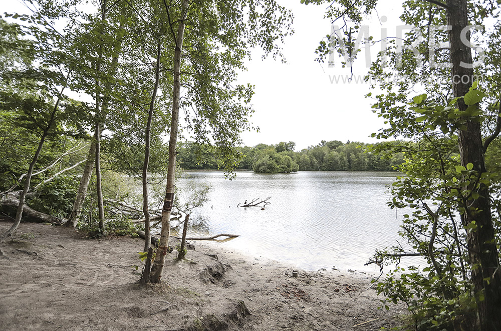 C0053 – Pond lined with trees