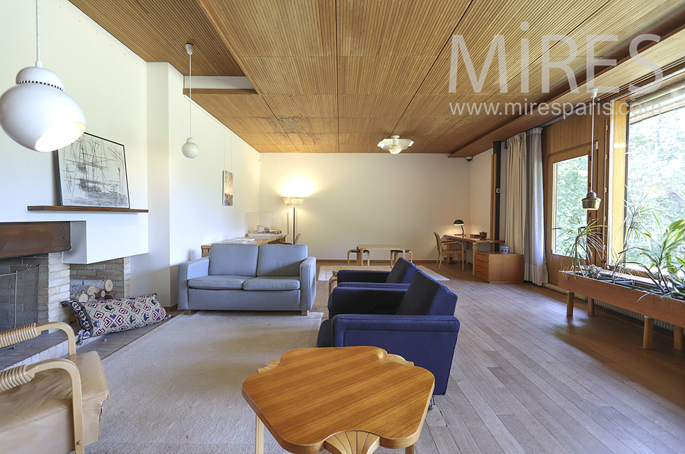 Modern living room. C1451