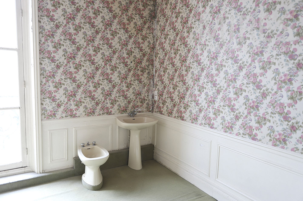 C1830 – Papier peint, motif de fleurs