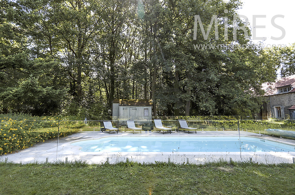 Swimming pool surrounded by trees. C1831