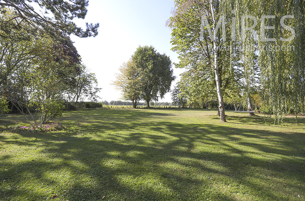 C1853 – Jardin et grands arbres