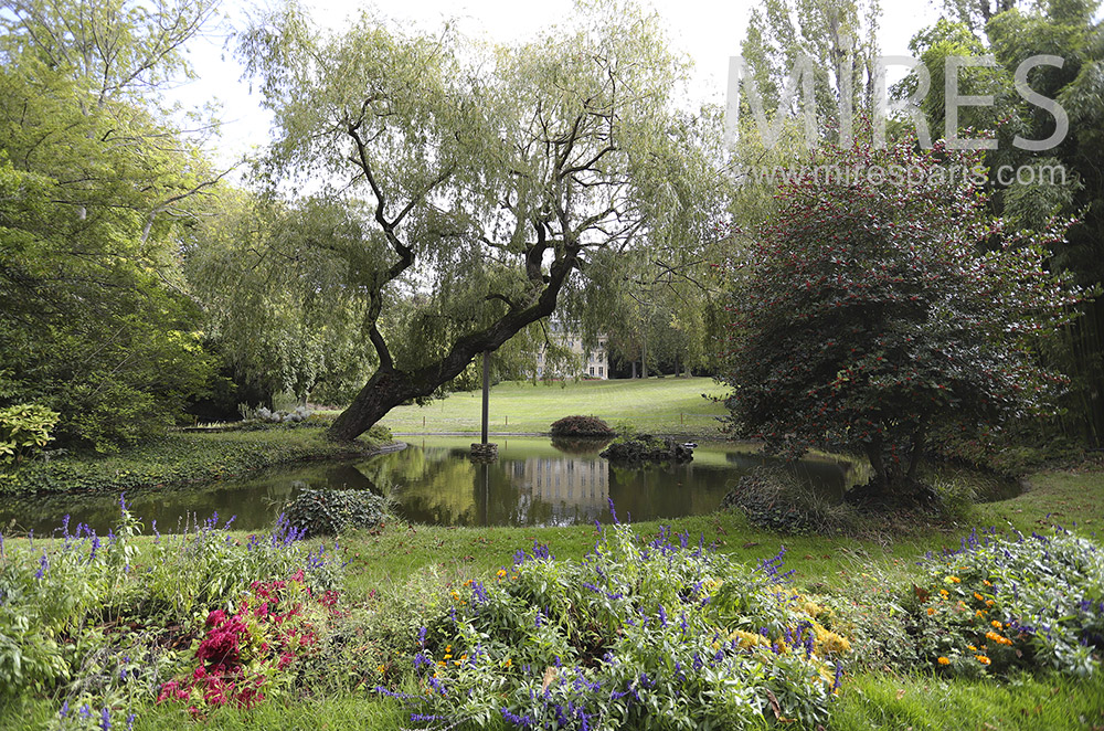 C1865 – Pond in the park