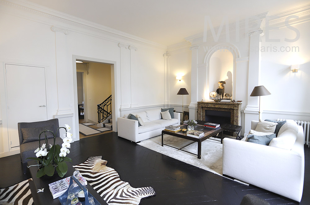 Grand salon noir et blanc. C1888