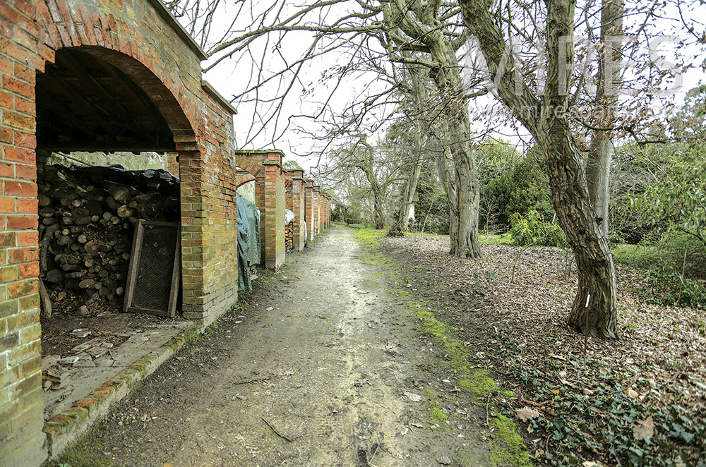 Wood reserve. C1897
