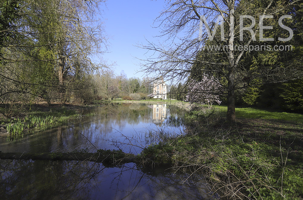 C1905 – Etang en bord de parc