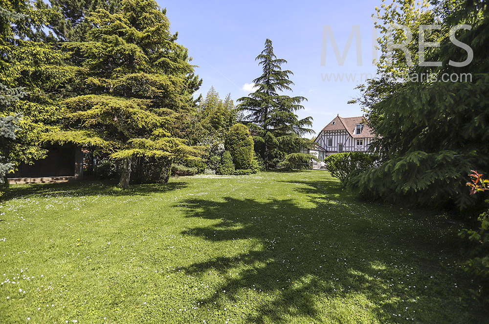 C1917 – Garden, lawn and beautiful trees