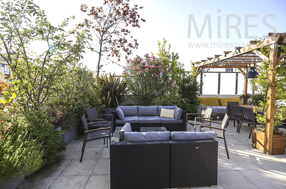 C1928 – Rooftop with shrubs and pergola