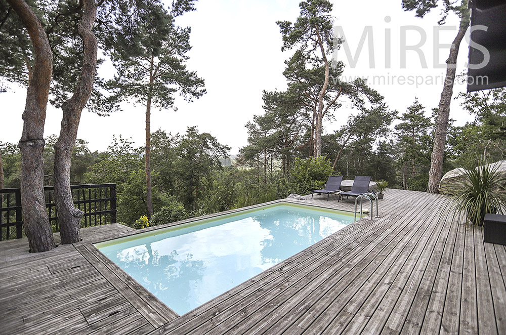 C1931 – Belle piscine sur forêt