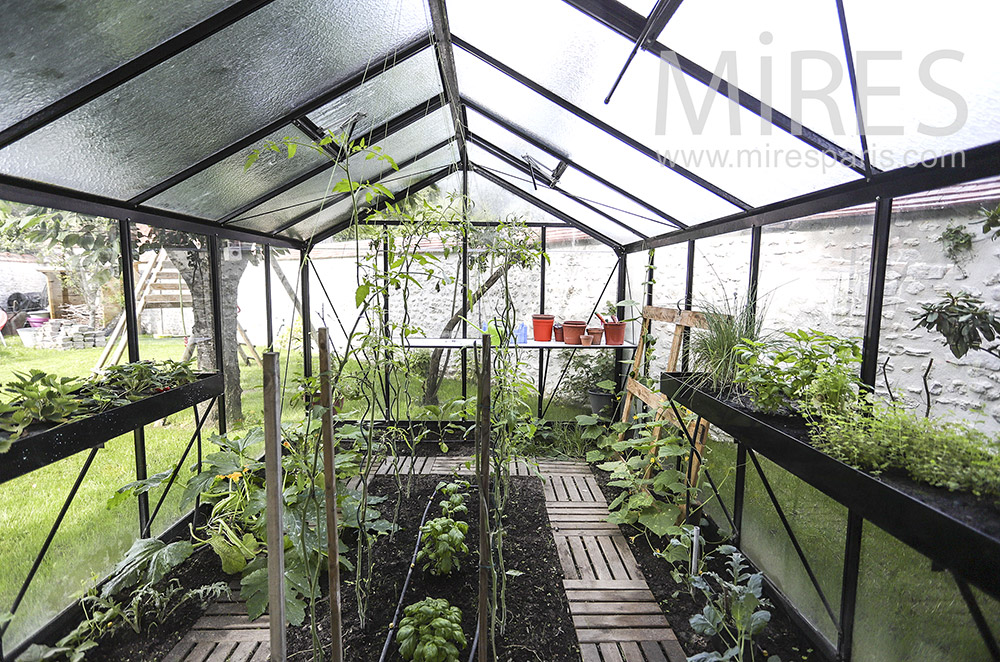 C1932 – Vegetable garden in greenhouse