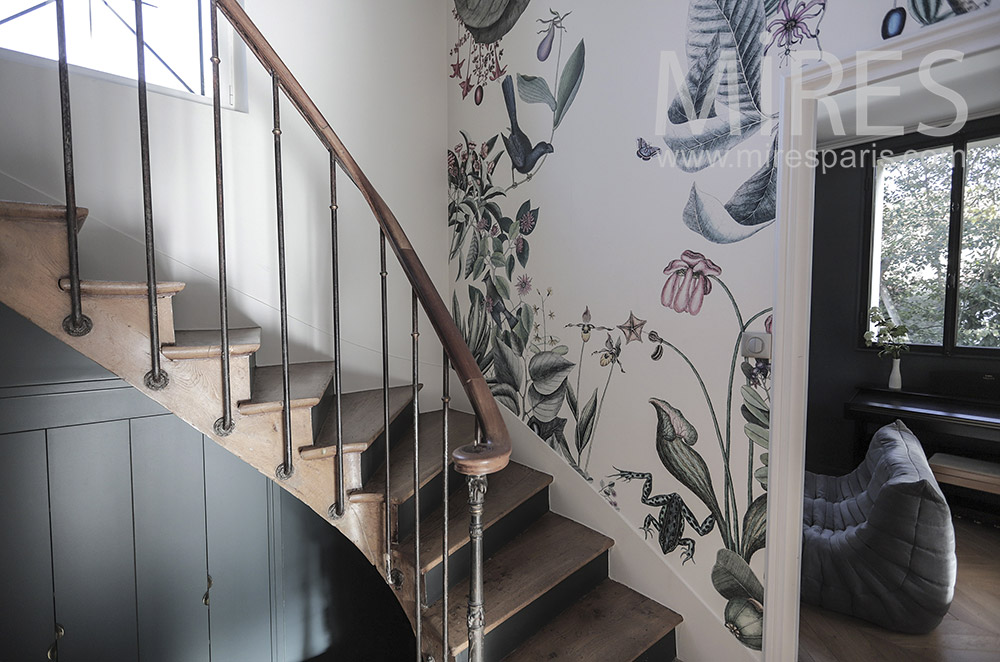 Spiral staircase, wallpaper. C1953