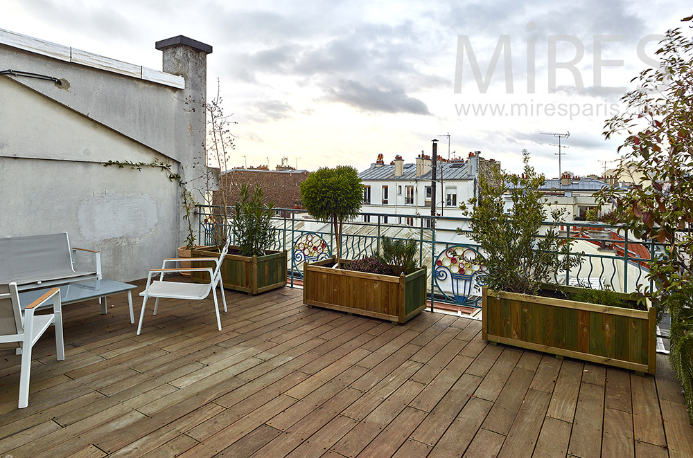 C1443 – Roof top, view over Paris