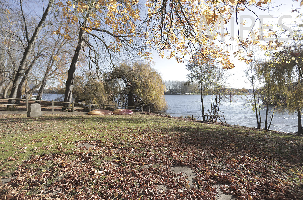 Lac en bordure de jardin. C1956