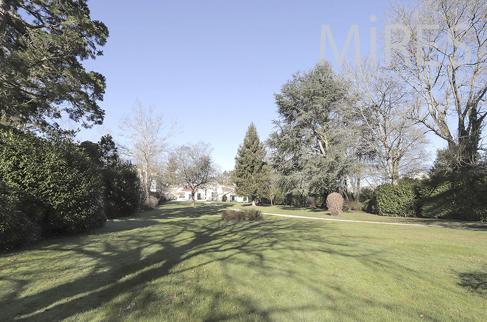 C1970 – Grand jardin bordé d’arbres