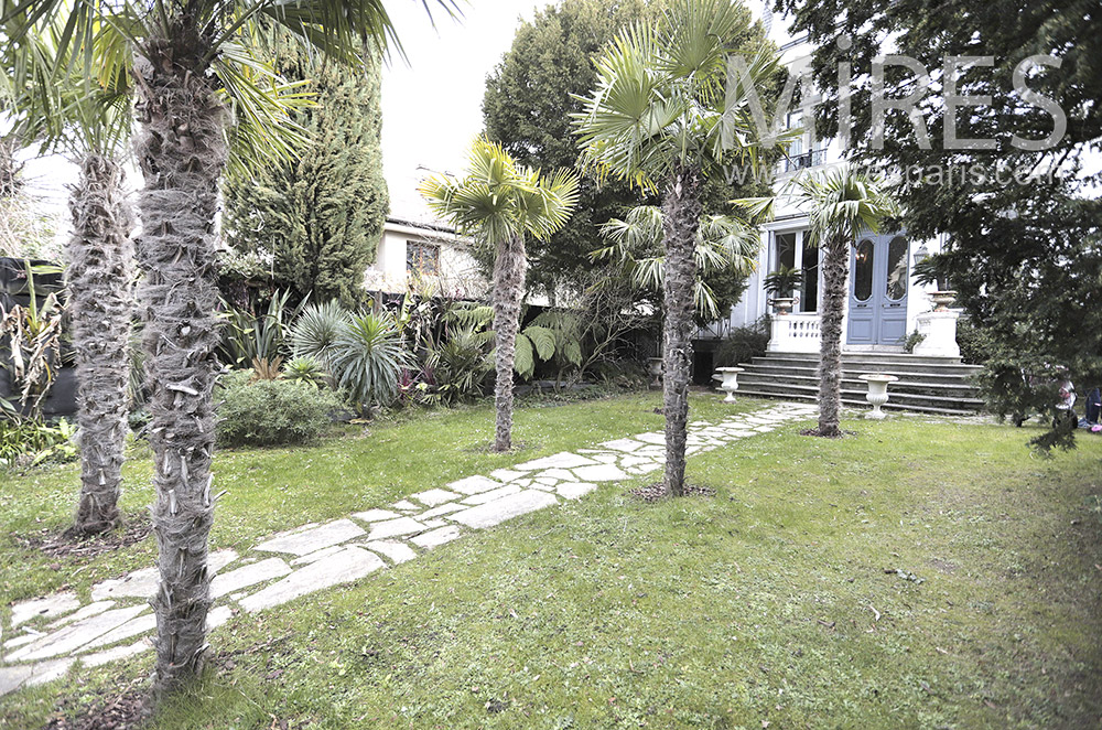 C1977 – Garden palm alley