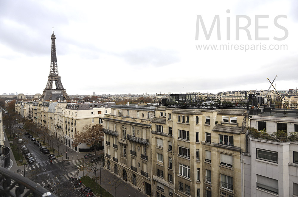 C1877 – Tour Eiffel et toits de Paris