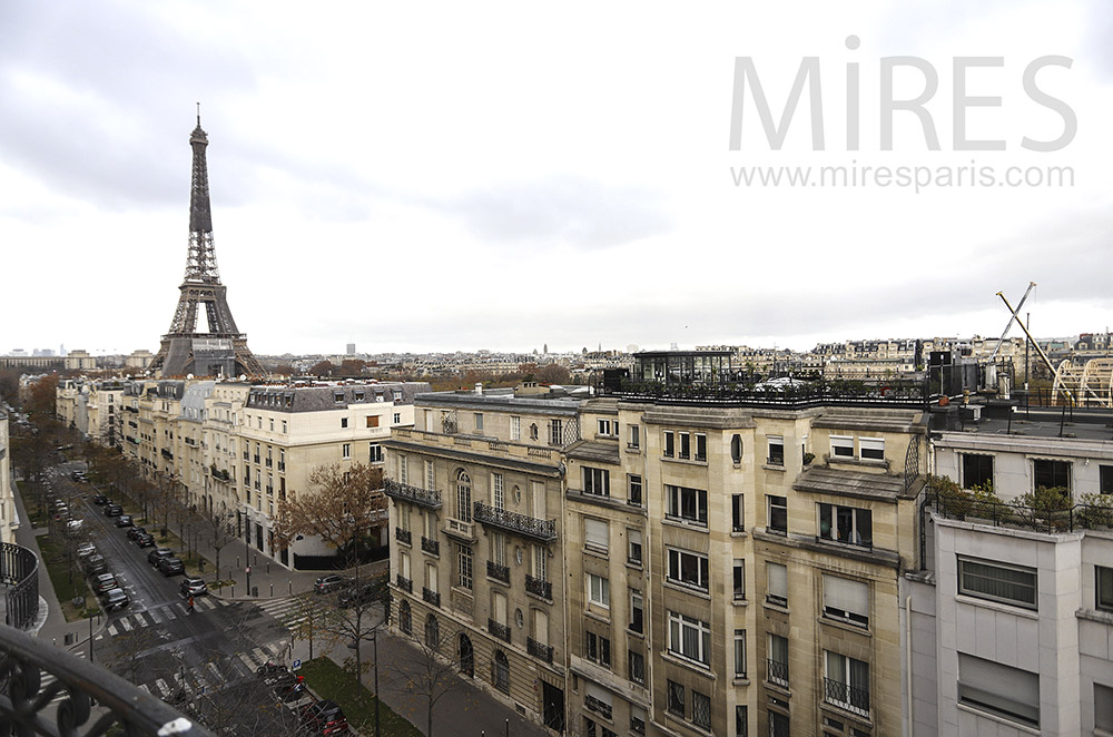 C1877 – Eiffel Tower and rooftops of Paris