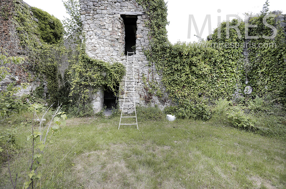 Ruines et donjon. C2004