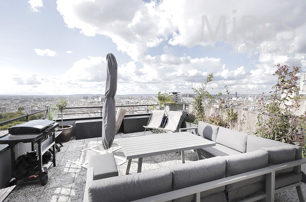 Rooftop with a view of Paris. C2007