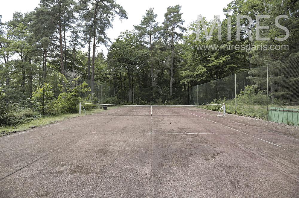 C2013 – Tennis entouré d’arbres