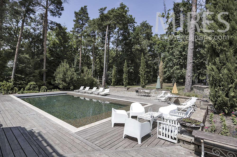 C2013 – Piscine bordée de teck sur fond d’arbre