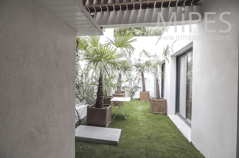 C2028 – Small garden with palm tree