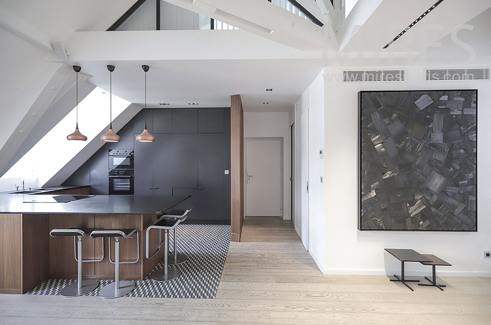 C2031 – Contemporary open kitchen