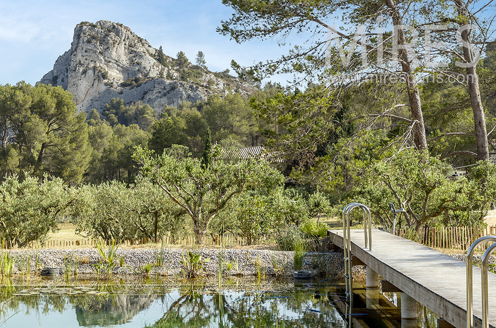 C2033 – Natural swimming pool