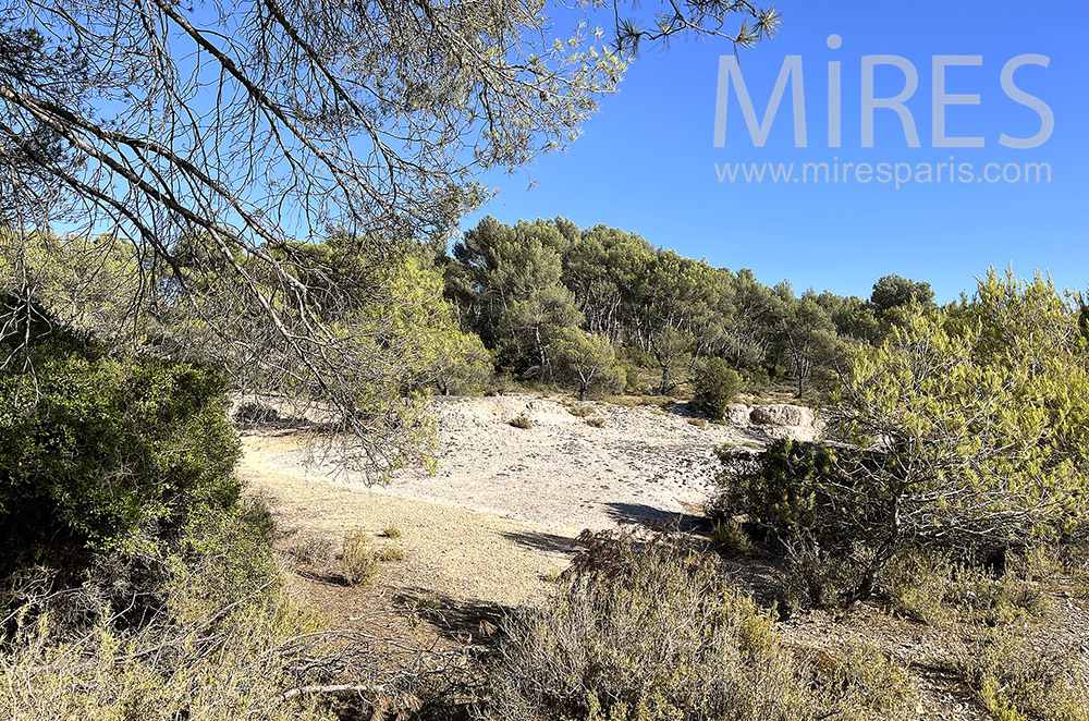 C2041 – Vue sur la garrigue