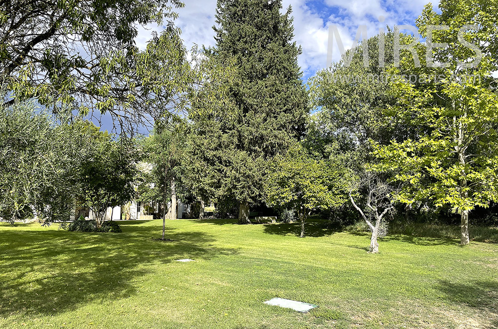 Jardin et beaux arbres. C2055