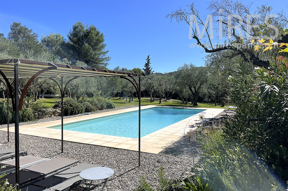 Swimming pool in olive grove. C2055