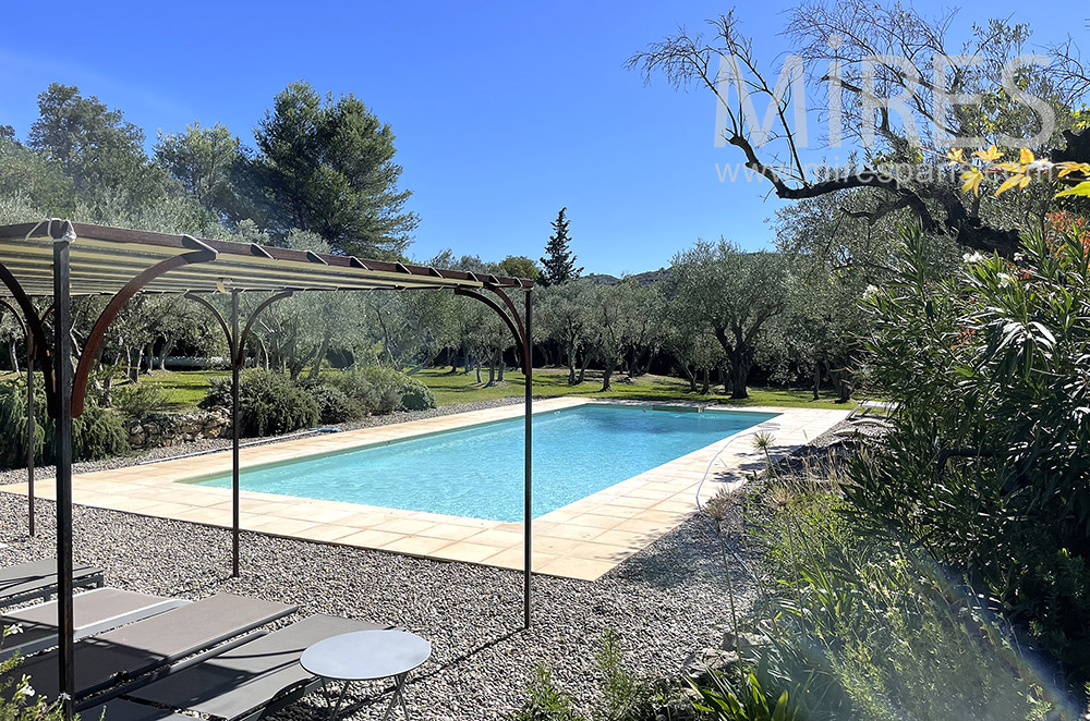 Piscine dans oliveraie. C2055