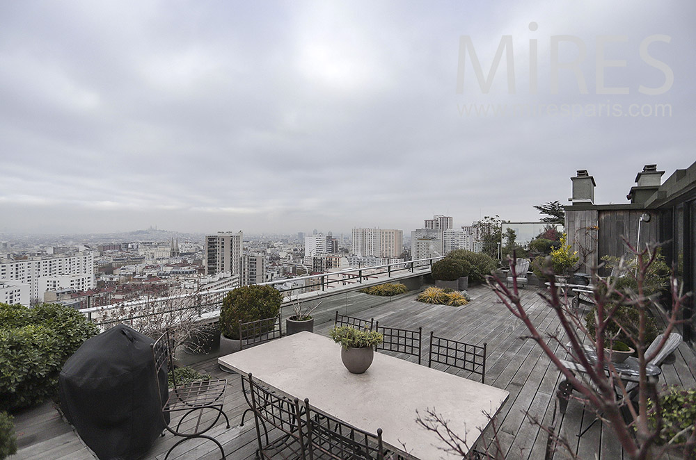 C2062 – Large rooftop, view of Montmartre