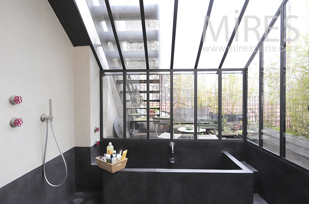 C2063 – Glass-roofed bathroom