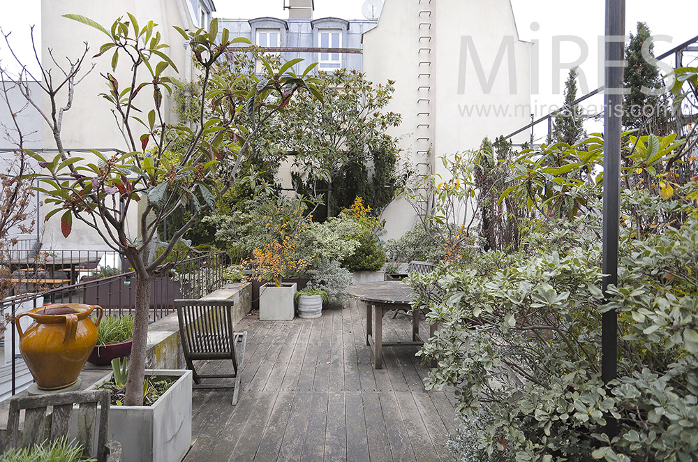 C2063 – Rooftop avec plantes vertes