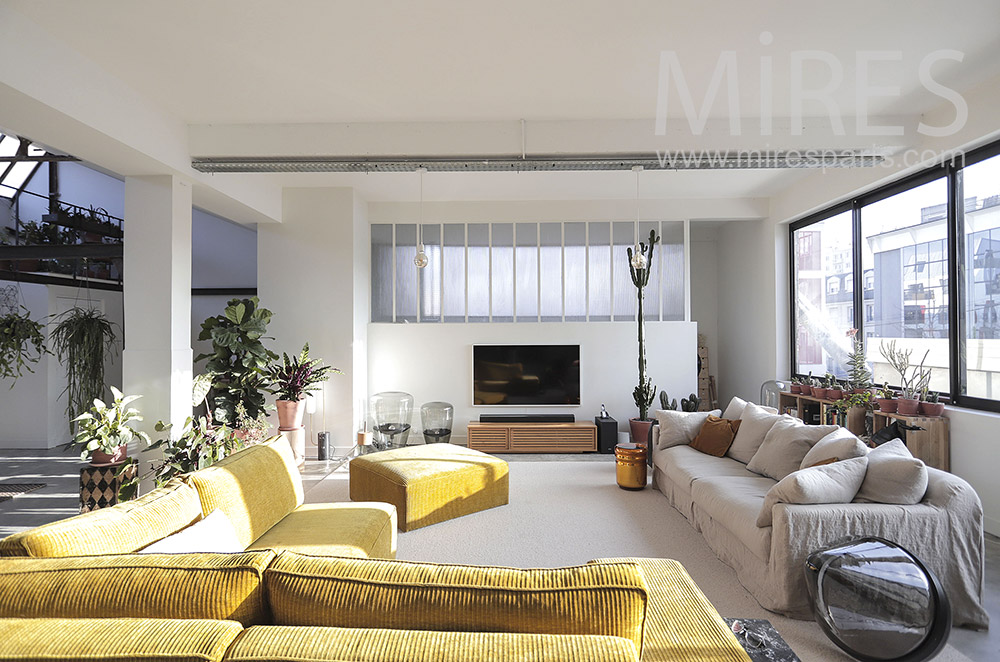C2064 – Large bright living room, green plants