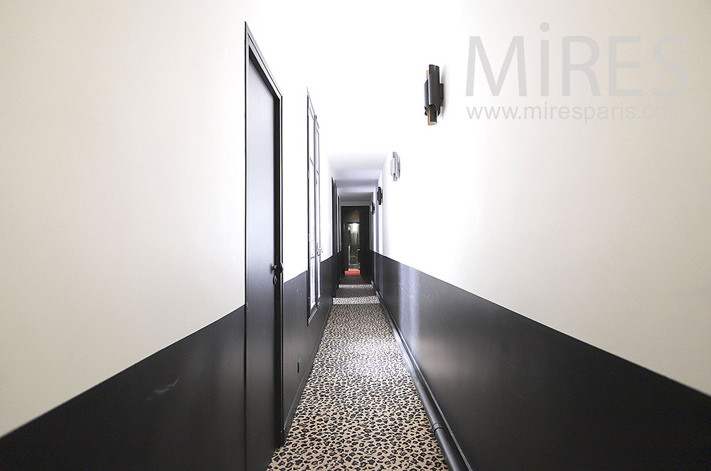 C2074 – Leopard corridor