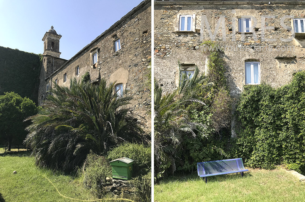 C2083 – Jardin méditerranéen