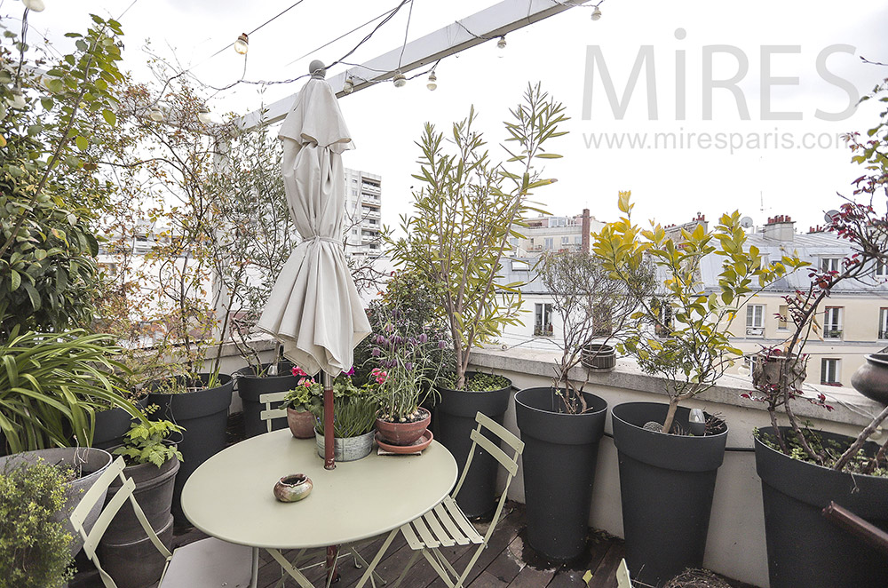 C2086 – Petit rooftop fleuri