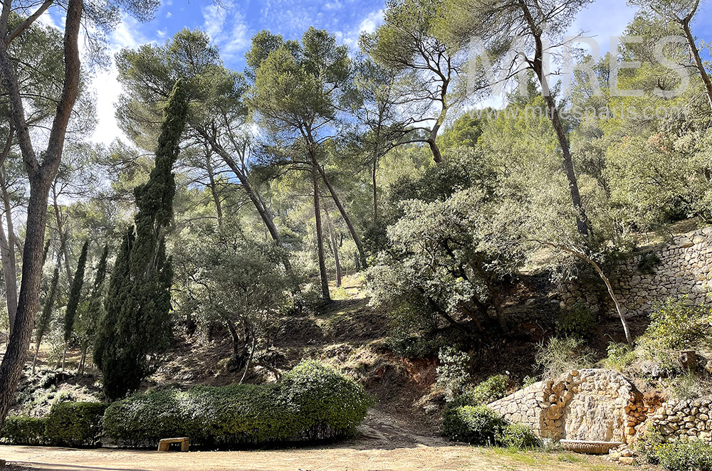 C2092 – Provencal landscape