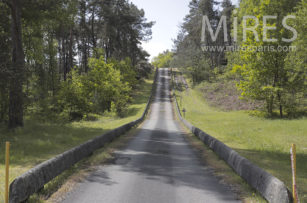 C2101 – Route en sous-bois