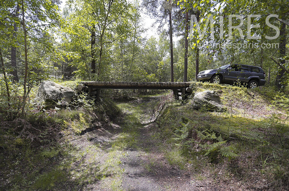 C2101 – Wooden log bridge