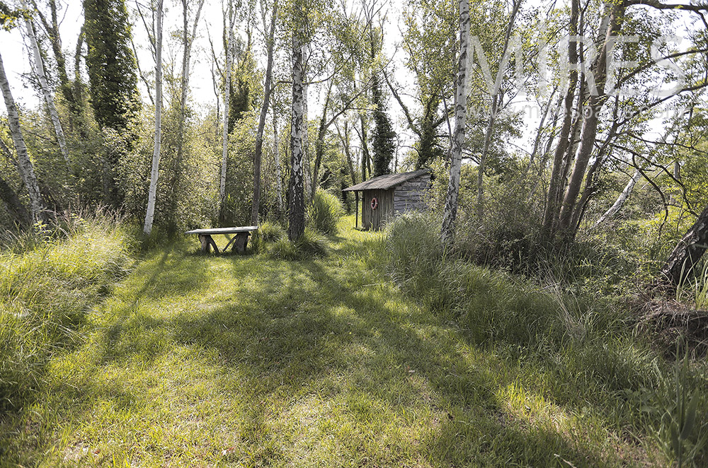 Cabane forestière. C0296