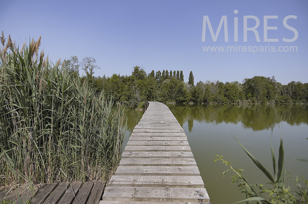 Wooden pontoon on pond. C0296