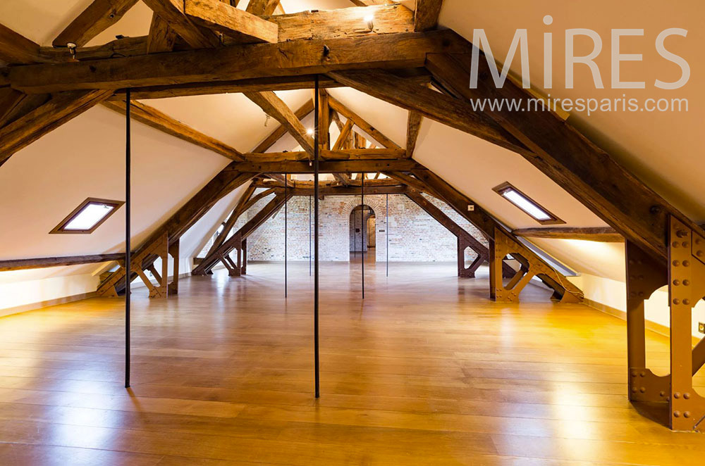 C2094 – Large renovated attic, new parquet